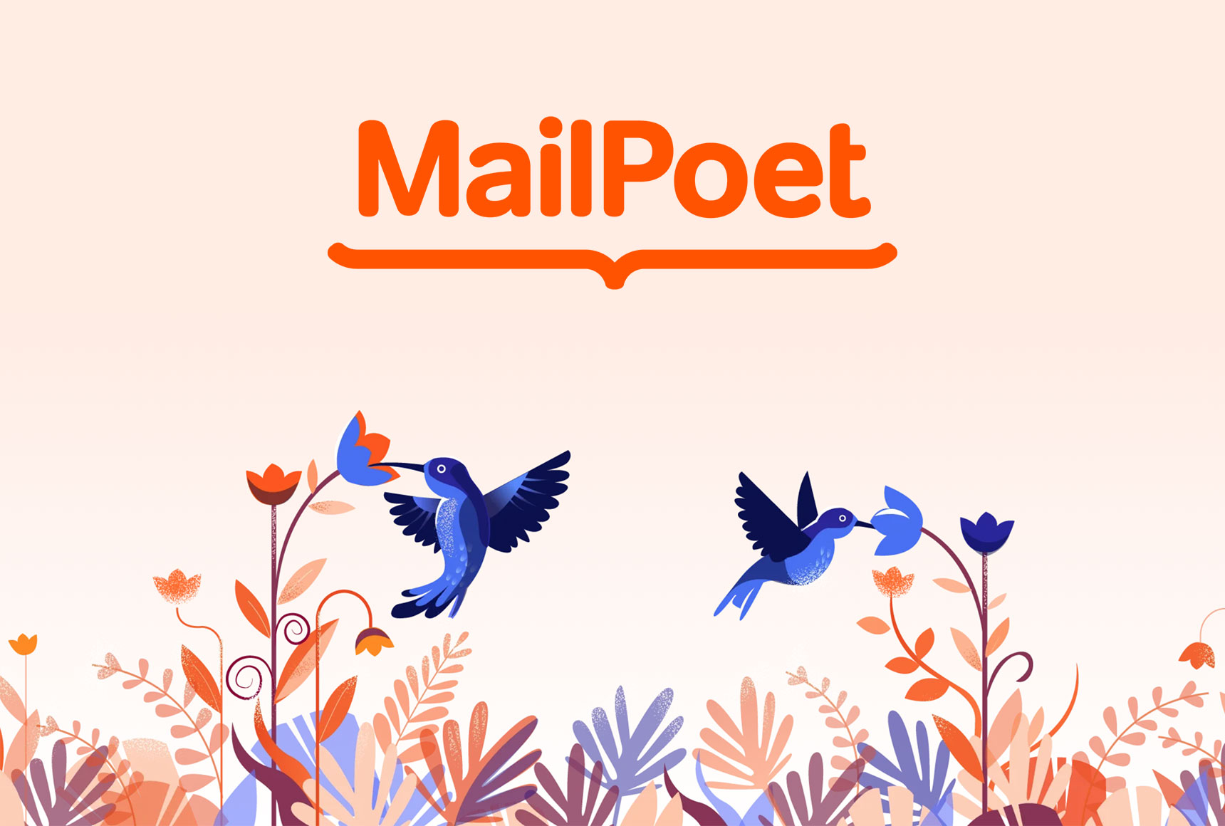How to get the MailPoet Premium Newsletter WordPress Plugin for free forever?